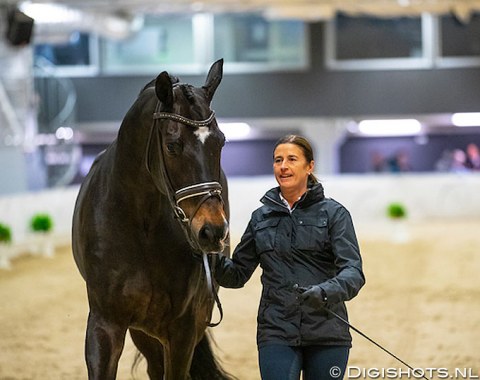 Swedish Tinne Vilhelmson-Silfven and the 17-year old Hanoverian Don Auriello returned from Wellington, Florida, for the World Cup Finals