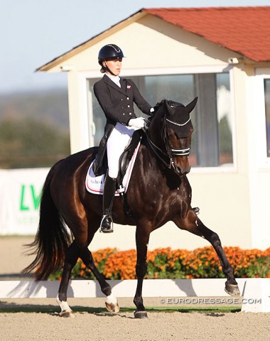 Danish Amalia Skjold on the 8-year old Stenagers Odessa (by Don Olymbrio x Wilkens)