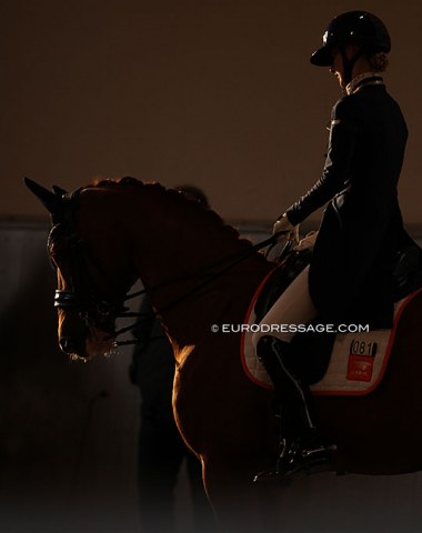 Pem Verbeek and Fernando Torres (by Florencio x Sandro Song) back lit in the indoor arena