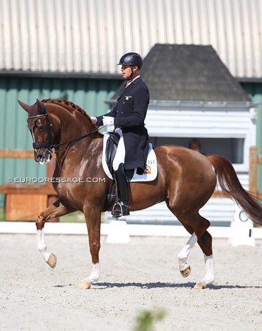 Patrick van der Meer on his second GP horse, Sephora S (by Sir Donnerhall II x Furst Piccolo)