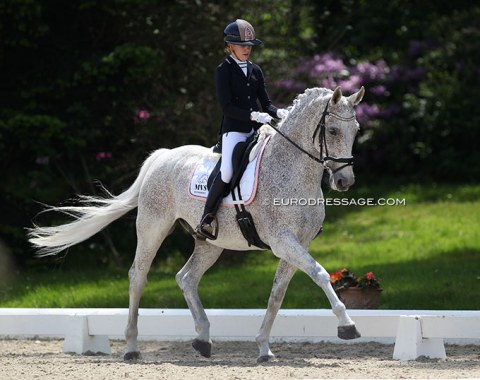 Probably the most photogenic horse of the show: Eva Schouten's Aramis. Love it!