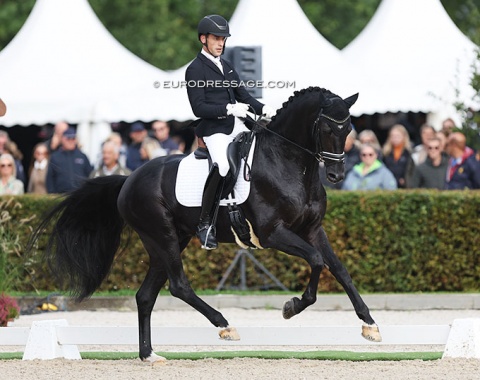 A very talented combination with Grand Prix written all over the horse: Justin Verboomen on the Portuguese bred Hanoverian Zonik Plus (by Zonik x Hohenstein). Only the trot work was ridden too passagey, but this horse has scope