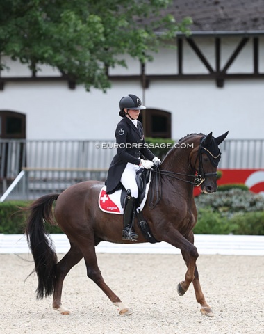 Robynne Graf and Domino (by Don Frederico x Weltmeyer)