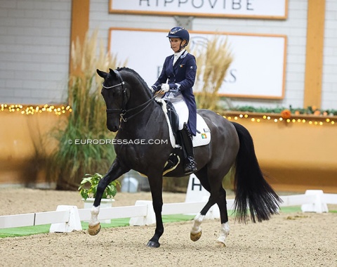 Ireland's Belinda Brereton on Deco, a 15-year old by Painted Black x Furioso