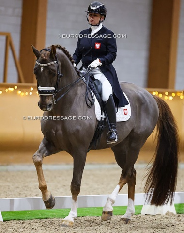 Back to being Polish, Anna Paprocka-Campanella returns to the CDI ring with Chrevi's Ravello