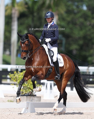 Adrienne Lyle on an upcoming FEI horse, Hussmann's Top Gun (by Totilas x Belissimo M)