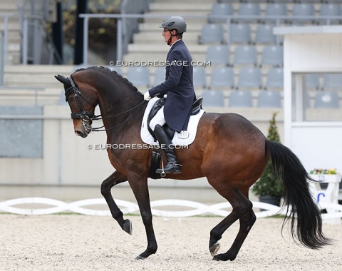 Peter de Mulder on the talented KWPN bred Indian Summer (by Apache x Rousseau). Scored between 62.826% and 72.065% !!