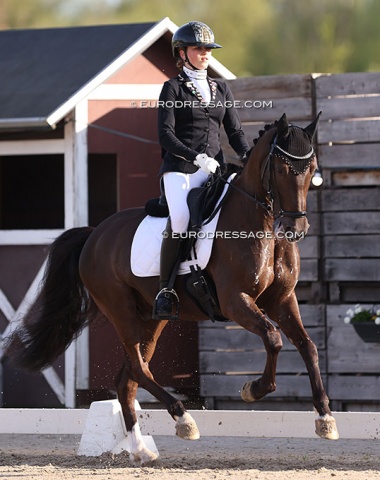 Belgian team rider Elisabeth Leduc on her new pony Wischhofs Casanova (by Brouwershaven Black Caviar x High Flow's Oxford). Her 2022 EC team pony, Campsterhoven's Baldato, has been sold to Italy