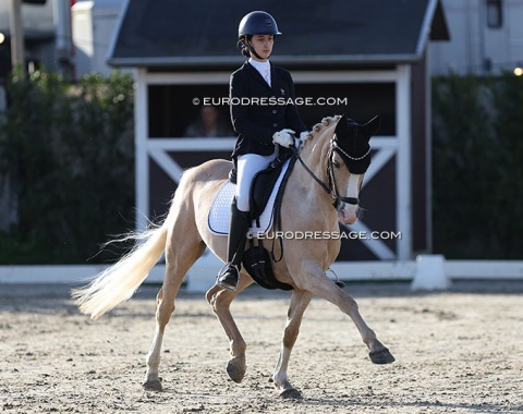 French Eva Sanchez on Miami (by FS Mr Right x Pilgrim's Red). One of the riders with the nicer, steady, quiet contact. 