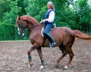 Angelika training her Grand Prix horse Gustav at home