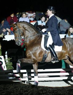 Tineke Bartels and Jazz in a show at the 2002 KWPN Stallion Licensing :: Photo © Dirk Caremans