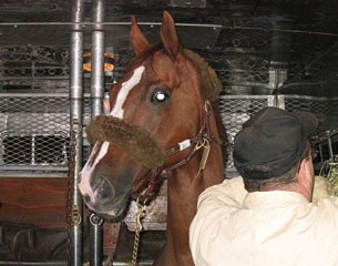 FBW Kennedy being loaded on the plane to fly to the U.S.A. to his new owners
