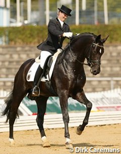 Henrike Sommer on the Westfalian licensed stallion Show Star (by Sandro Hit)