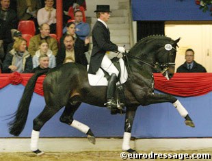 Dieter Wiechert on Rubin Royal at the 2004 Vechta Stallion Show :: Photo © Astrid Appels