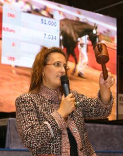 The auction at the Danish warmblood licensing