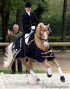 German Anne von Negri on the 7-year old NRW pony stallion Deinhard B :: Photo © Astrid Appels