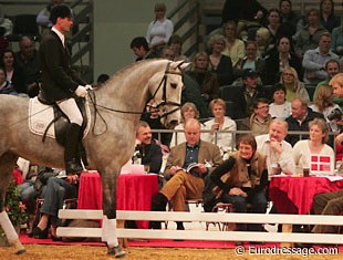 Berit Nielsen bought Donna Silver at the 2006 Danish warmblood aution in Herning