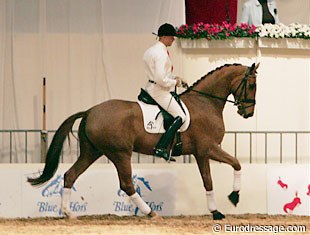 Rune Willum test-riding Langkjærgaards Donna Fetti at the 2006 Danish Young Horse Championships in Herning :: Photo © Astrid Appels