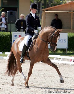 FS Don't Worry: not only Germany's best producing pony stallion, but also one of the world's best dressage ponies.