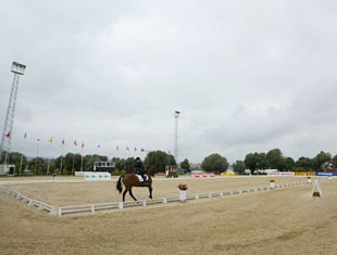 The show ring at the Sunshine Tour
