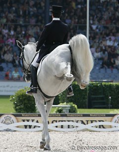 A move not allowed in FEI Dressage