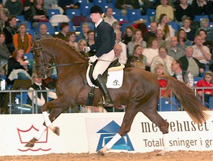 Skovens Rafael, Price Highlight of the 2007 Danish Stallion Auction