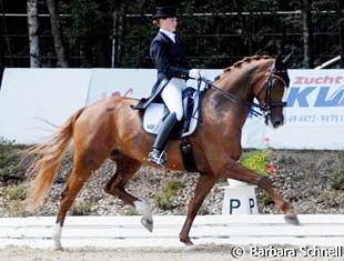 Katharina Winkelhues & Weltmelodie showed a fabulous trot tour in the second test, but then, alas, the mare lost her nerve, and they didn't make it to the finals