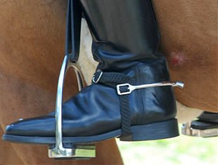 2007 European Pony Champion Dornik B was eliminated from the Championships because the stallion had bloody spurmarks on his sides. This is not allowed by the FEI and the combination was not allowed to compete