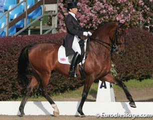Sarah Millis and O'Neill competing at Grand Prix level at the 2009 CDI Hagen