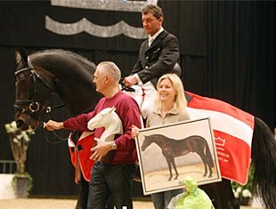 Cajus at the 2009 Danish warmblood stallion licensing