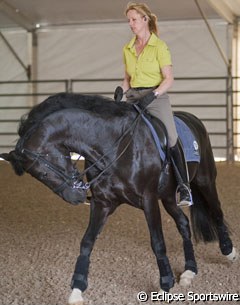 On Tuesday, the riders were training their horses in the "normal" warm up ring: a non-airconditioned tent. The heat difference between this tent and the main arena is huge and riders will need to take that into account.