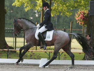 A rising star: Marina Mattsson's new FEI pony Verdi RP (by Vermont).