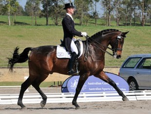 Brett Parbery and Victory Salute take an early lead in the 2009 Australian Dressage Championships :: Photo © Franz Venhaus