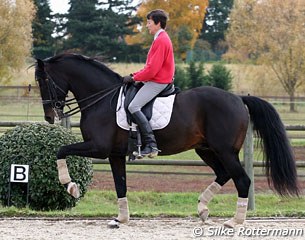 The black stallion Laisser Faire is a very expressive mover
