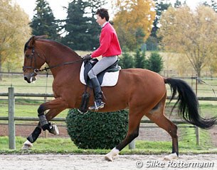 Lots of power in this Lusitano: Catherine Henriquet and Vendaval in the extended canter