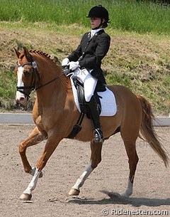 Simone Fersner on the German Riding Pony Proud Don Caruso :: Photo © Ridehesten.com