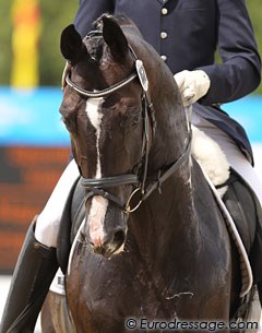 Spanish Juan Manuel Vidal aboard Jorge de la Lastre's Oldenburg stallion Somerset (by Stedinger).