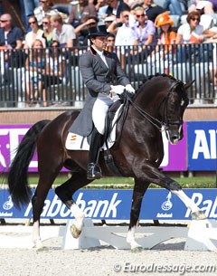 Jordi Domingo on Prestige at the 2011 European Championships :: Photo © Astrid Appels