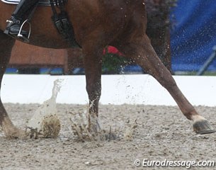 To give you an idea of the footing at the European JR YR Championships on Sunday
