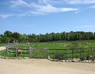 A view on some of the paddocks