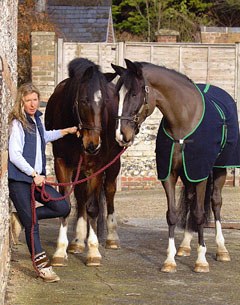 Carol Parsons with her Shire crossbreds Walter and Giddy