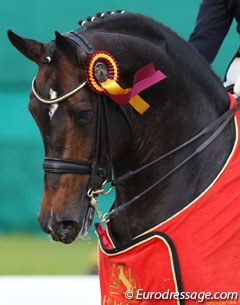 Farewell III won the Grand Prix and Special
