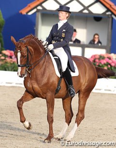 Katrin Bettenworth was able to qualify two out of three horses for the second Young Horse Grand Prix class in Hagen. Here you see her on Die Insel (by Diamond Hit x Inselfurst)