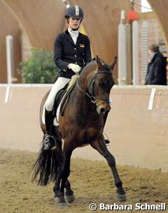 Der feine Lord won group 1 somewhat curiously. Joline Thüning presented him with much feeling, and yet the pony lacked impulsion, moving his hind legs up instead of under the body, and freedom in the shoulders.