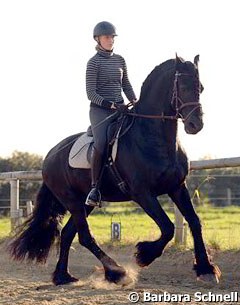 Carla Bauchmüller, riding instructor, yoga teacher and Sally Swift student taught much sought-after clinics in Reken. Sshe asked Barbara if she could ride her Friesian Apollo before she traveled to the U.S. to build a new life there.