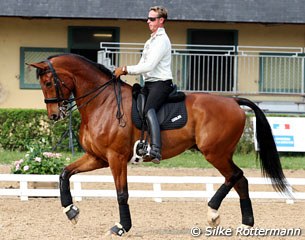 Carl Hester schooling his small tour horse Tatler