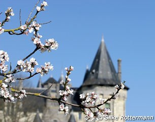 Spring in Saumur with the castle in the background