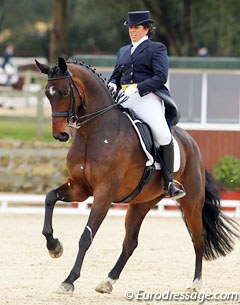 Marta Pena Montaner and the talented Oldenburg bred Arena (by De Niro)