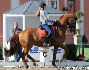 Young rider Sanneke Rothenberger is ready for the Grand Prix with Wolke Sieben