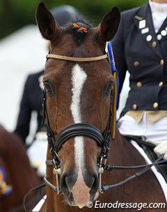 Jorinde Verwimp's Tiamo wears a cute Belgian flag ribbon to the prize giving
